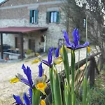 Il Puggio * Capolona